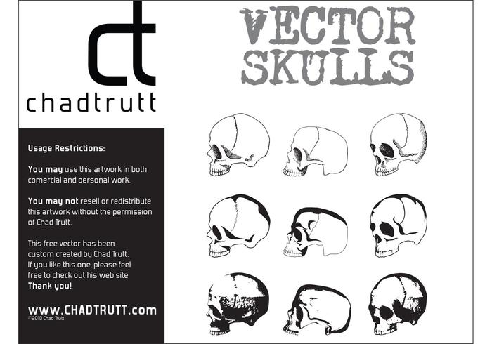 Human Skulls Human Skulls