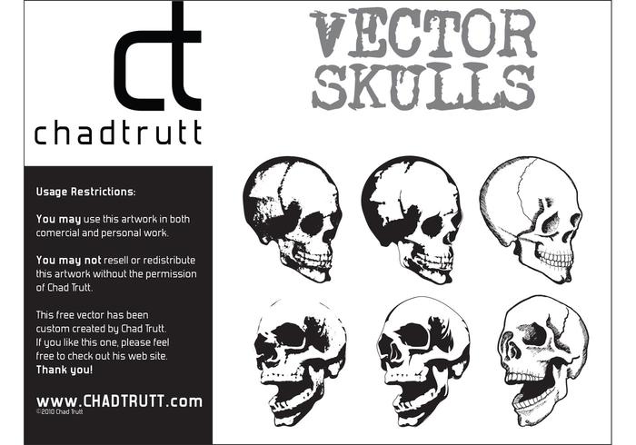 Human Skulls 2 Human Skulls 2