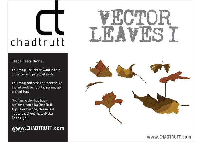 Leaves 1 Leaves 1