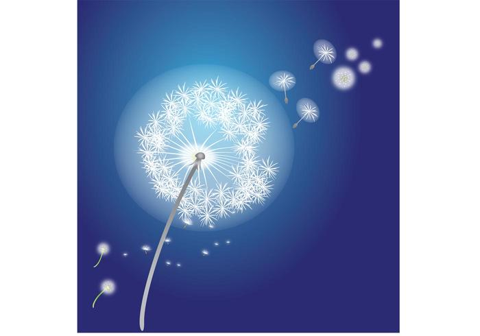 Vector Flower - Dandelions Vector Flowers Vector Flower - Dandelions Vector Flowers