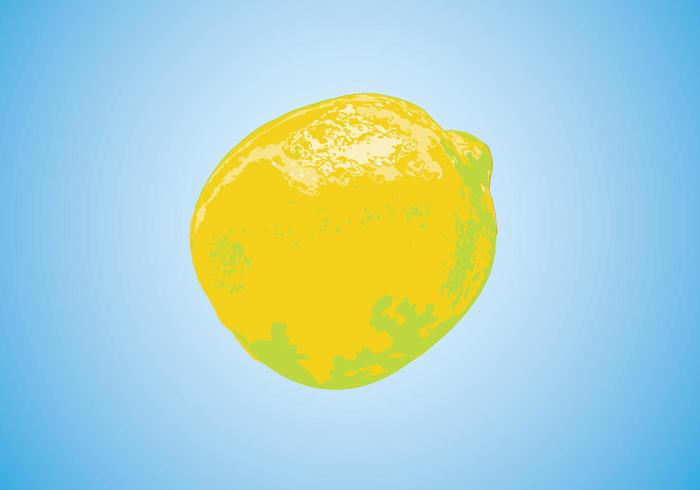 Vector Lemon Vector Lemon