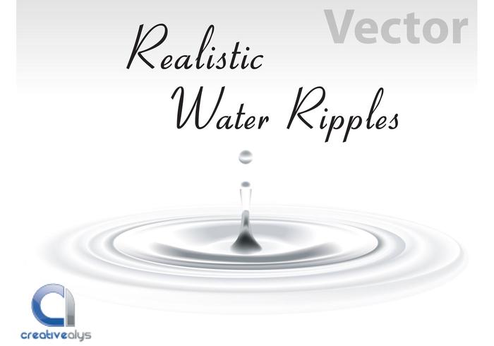 Realistic Vector Water Ripples Realistic Vector Water Ripples