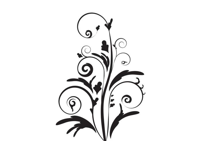 Floral vector Floral vector
