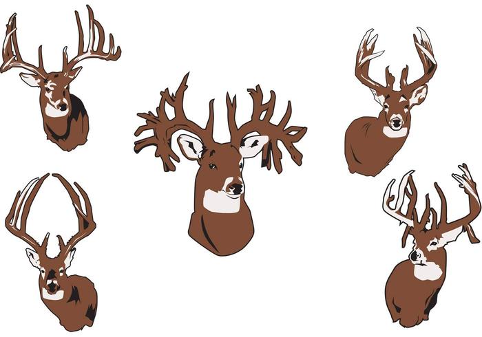 Elk Vector Elk Vector