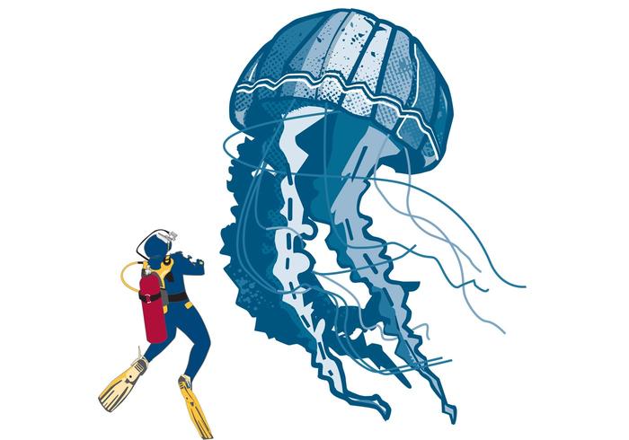 Jellyfish Vector Jellyfish Vector