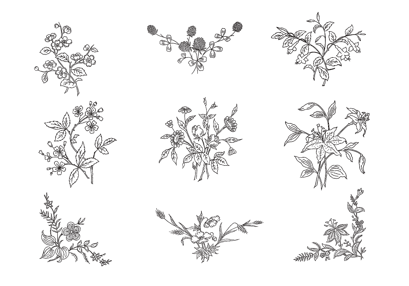 Download Hand Drawn Black & White Flower Vector Pack - Download ...