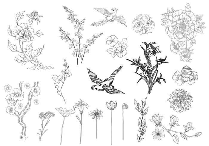 Etched Flower and Bird Vectors