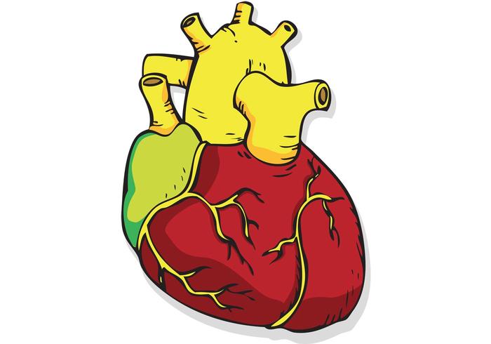 Free Vector Heart Free Vector Heart