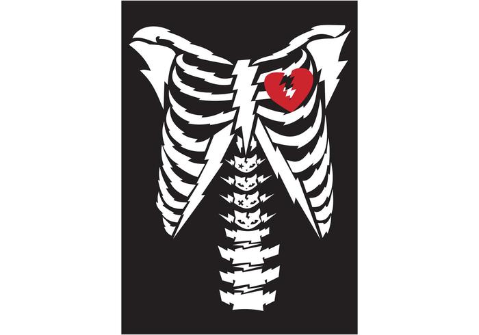 Free Vector Bone Free Vector Bone
