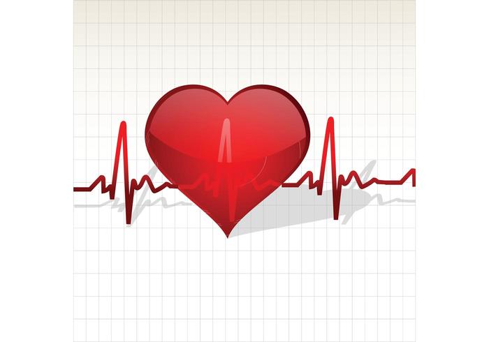 Heart with Life Line Vector Heart with Life Line Vector