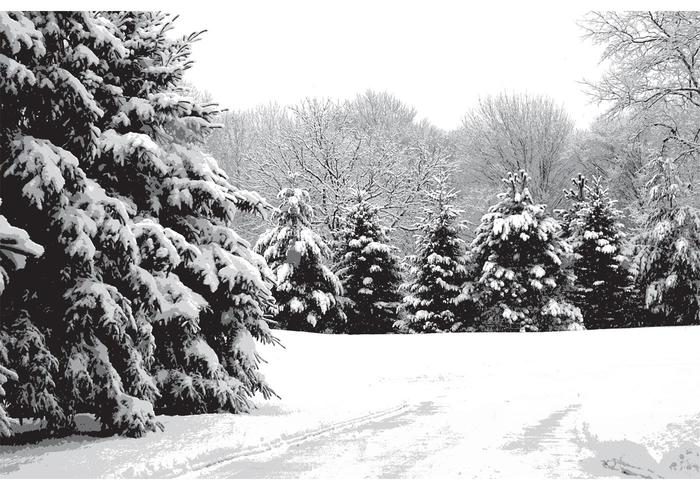 snow pines vector snow pines vector