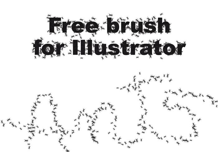 Ant brush Ant brush