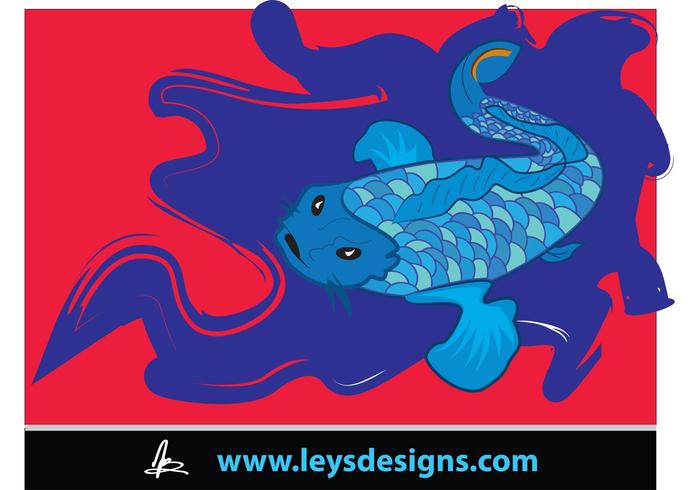 Coy Fish Coy Fish