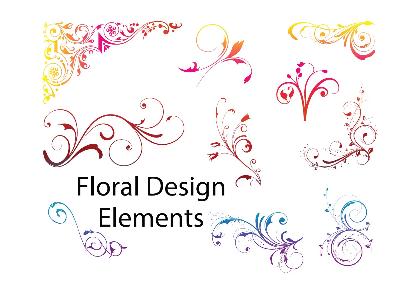 Download Floral Design Elements - Download Free Vector Art, Stock Graphics & Images