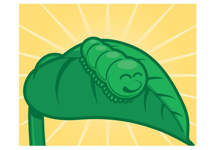 Woodland Caterpillar Vector Woodland Caterpillar Vector
