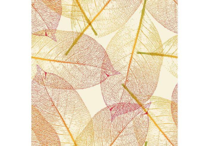 Autumn Leaf Vector Autumn Leaf Vector
