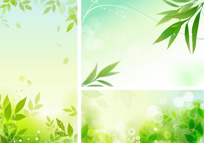 Leafy Orgánica Vector Wallpaper Pack