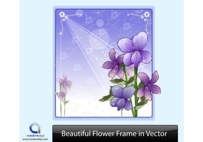 Beautiful Flower Frame in Vector Beautiful Flower Frame in Vector