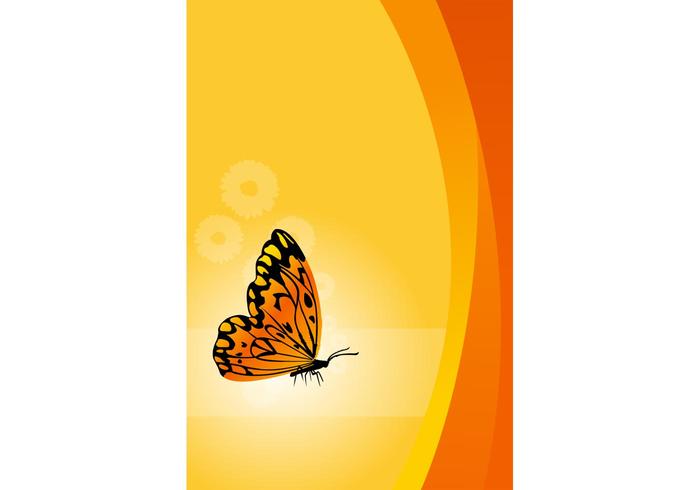 Floral Vector Background With Butterfly Floral Vector Background With Butterfly