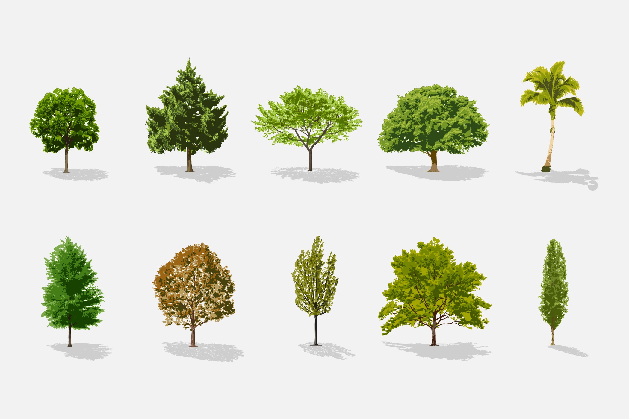 Download Trees Vector Collection Pack