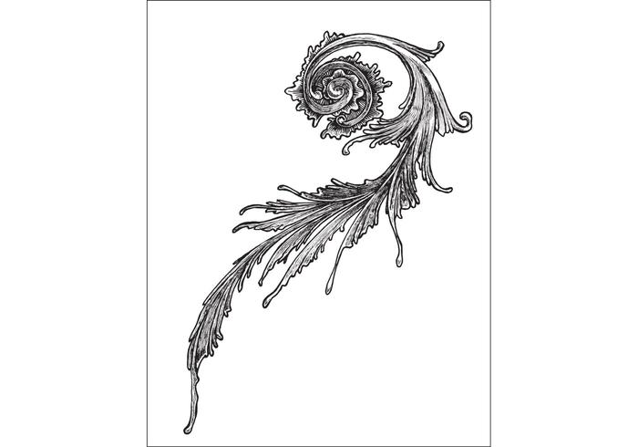 Victorian Ornament Vector #1 Victorian Ornament Vector #1