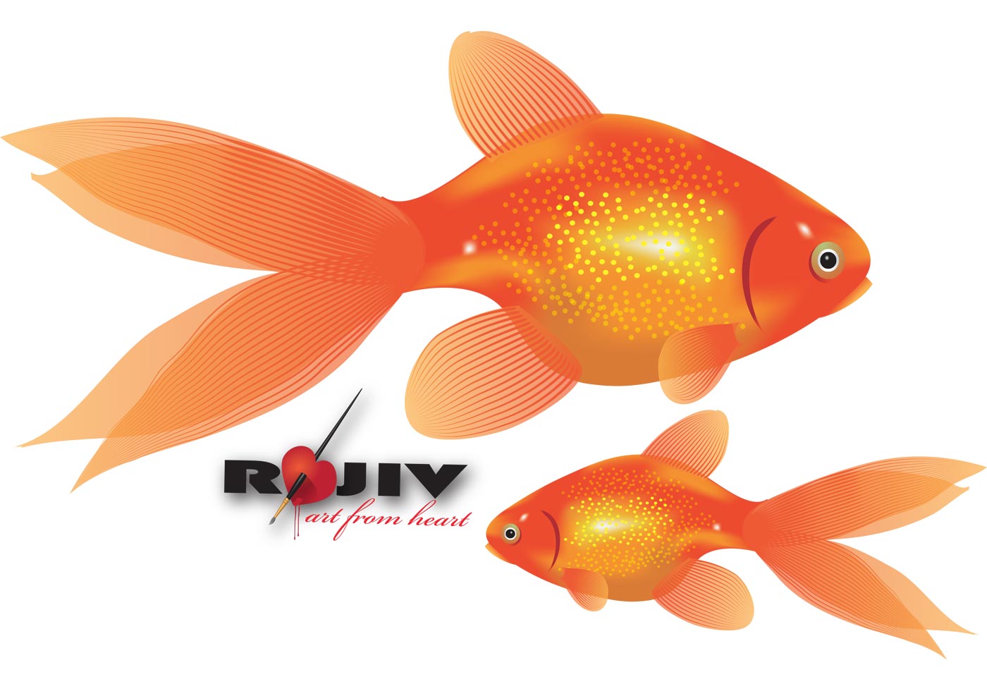 Gold Fish - Download Free Vector Art, Stock Graphics & Images