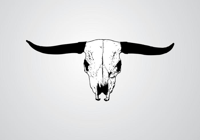 Longhorn Skull Vector Longhorn Skull Vector