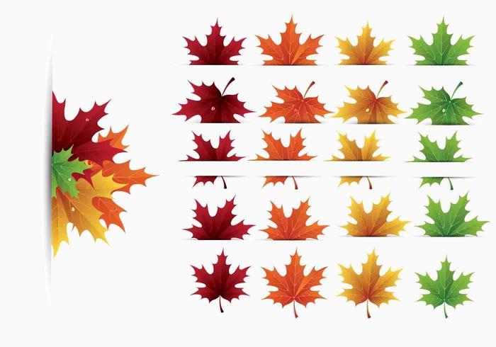 Maple Leaves Vector Pack