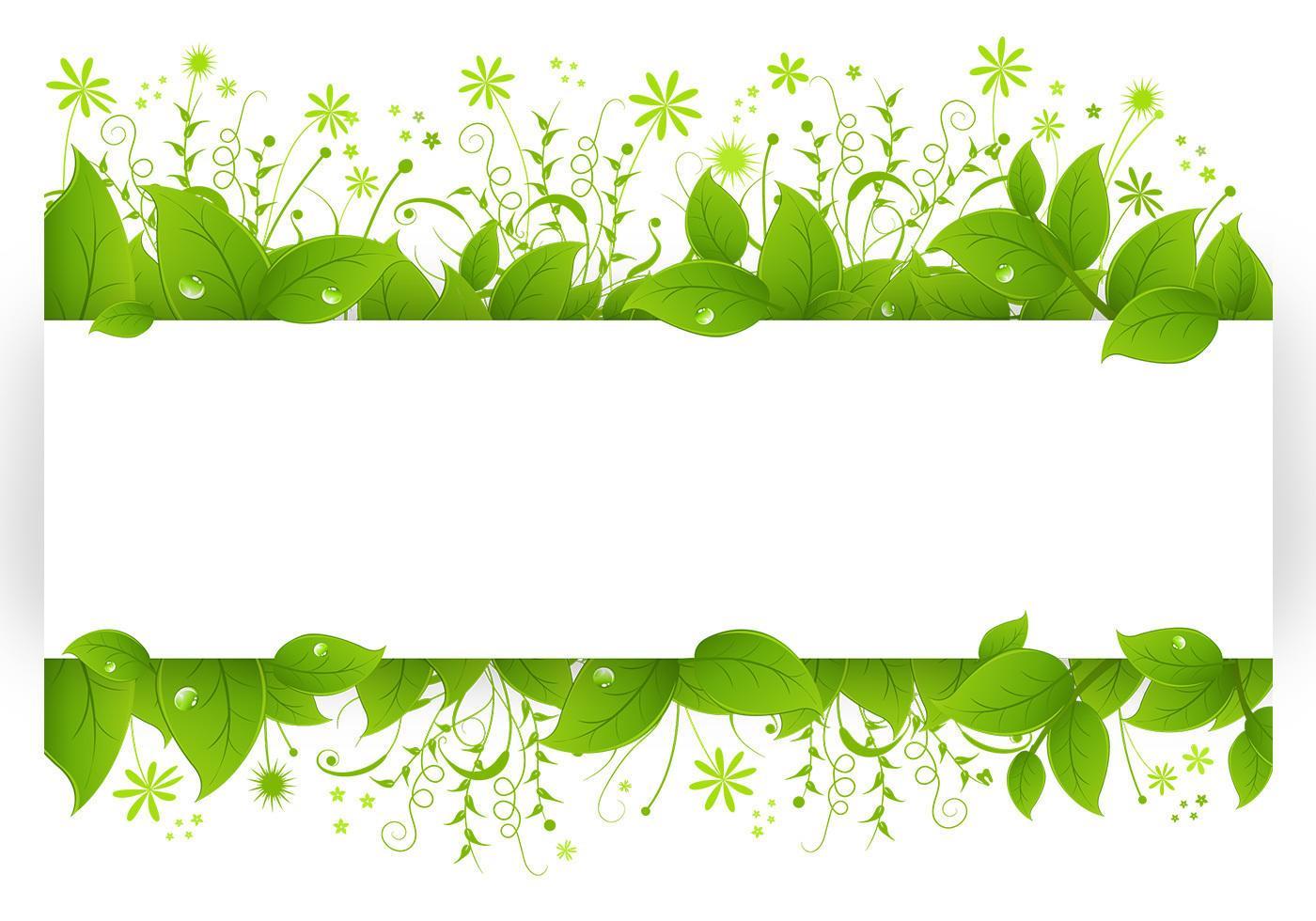 Leafy Banner Vector Pack 36454 Vector Art at Vecteezy