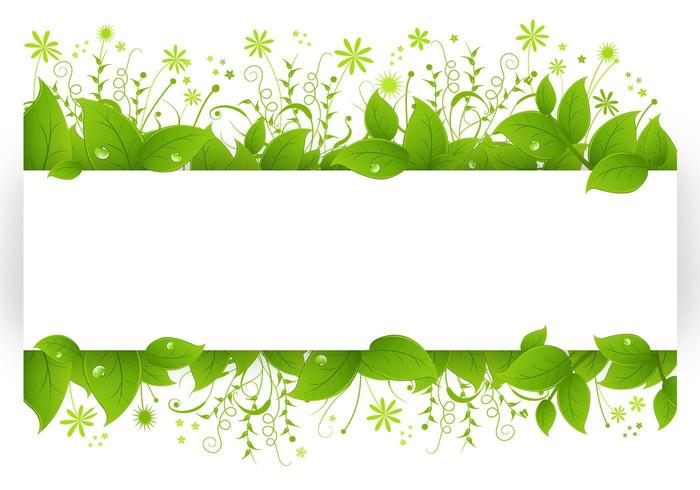 Leafy Banner Vector Pack