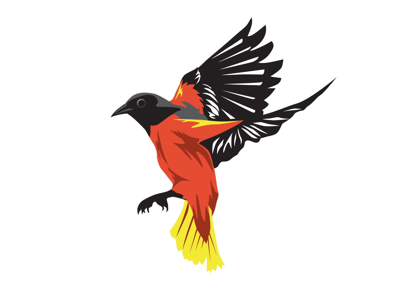 oriole bird Download Free Vector Art, Stock Graphics & Images