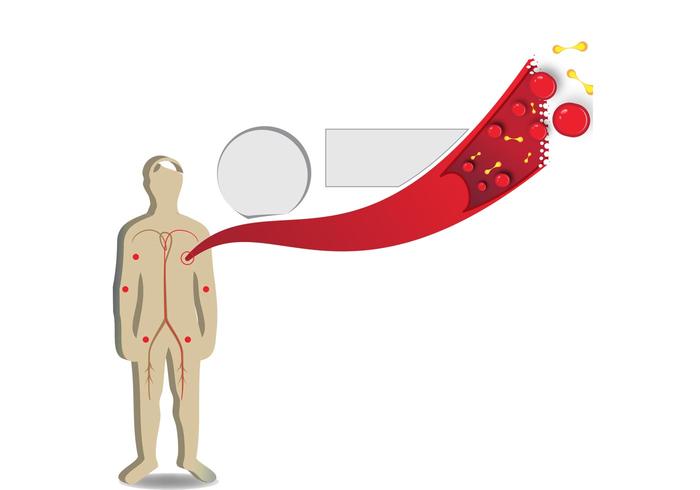 Infografico corpo células/sangue - Human Body Vector Infografico corpo células/sangue - Human Body Vector