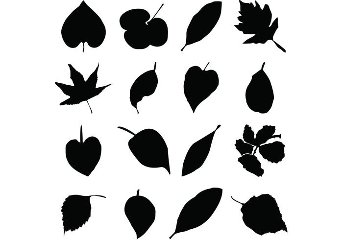 Leaf Silhouettes Free Vector Graphics