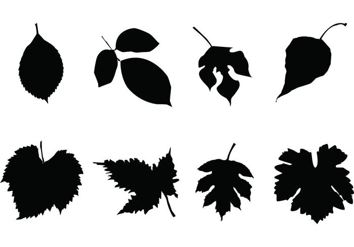 Free Leaf Silhouettes Vector Set Free Leaf Silhouettes Vector Set