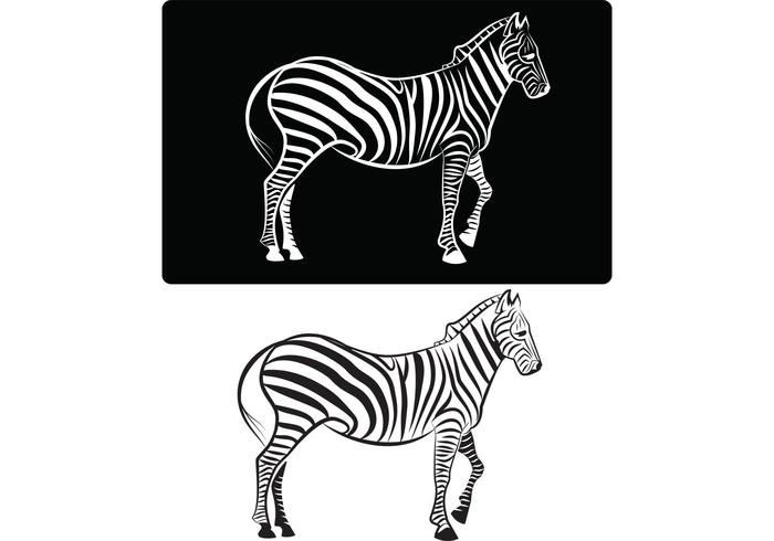 Zebra Vector Image Zebra Vector Image