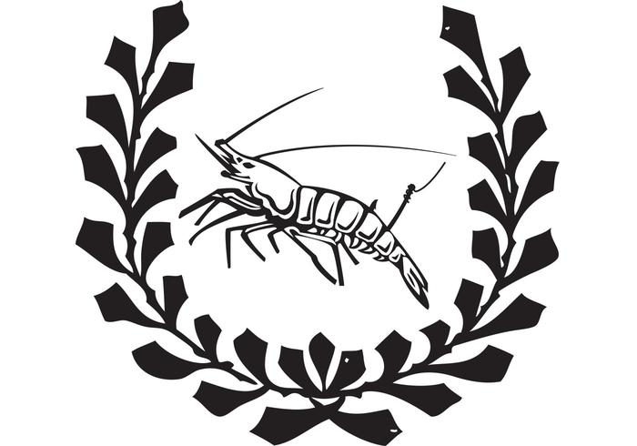 Shrimp Vector Shrimp Vector
