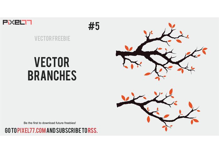 Free Vector Branches Free Vector Branches