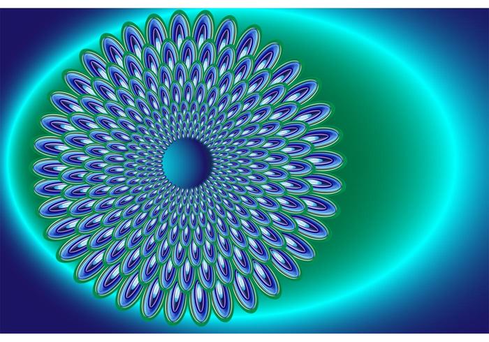 Peacock Vector Peacock Vector