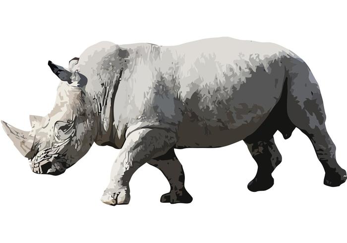 Rhino Vector Rhino Vector