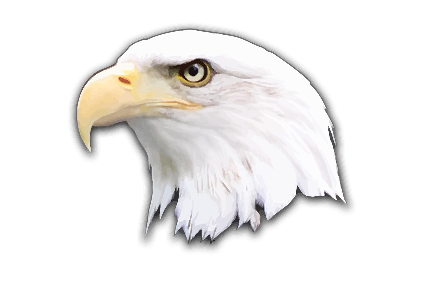 Download Eagle Vector