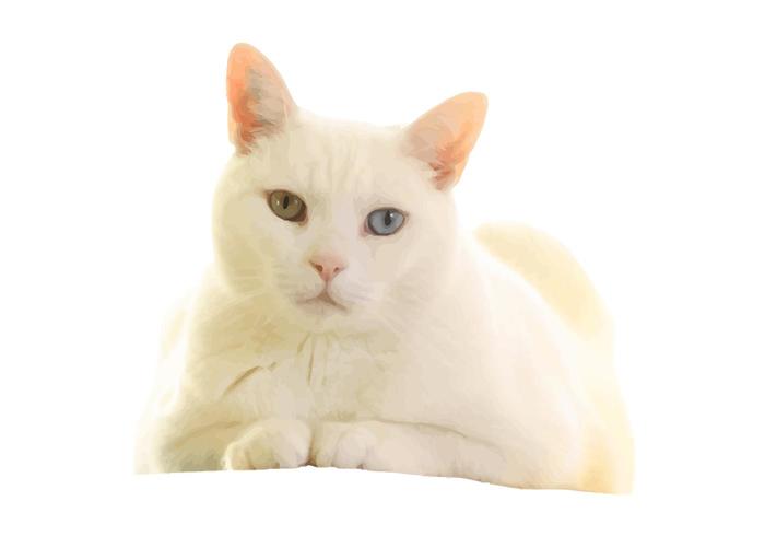 Cat Vector Cat Vector