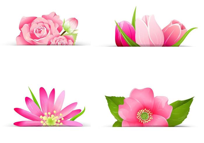 Conjunto de vectores de banner flor rosa