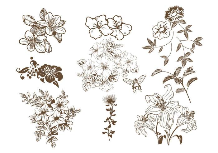 Hand Drawn Floral Vector Pack 