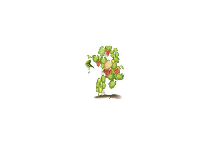 Videira Grape Vine Vector Videira Grape Vine Vector