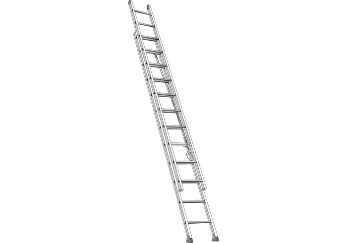 Vector Ladder Vector Ladder