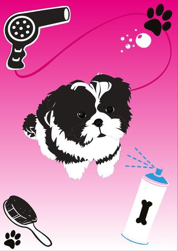 Shih Tzu Puppy Vector Shih Tzu Puppy Vector