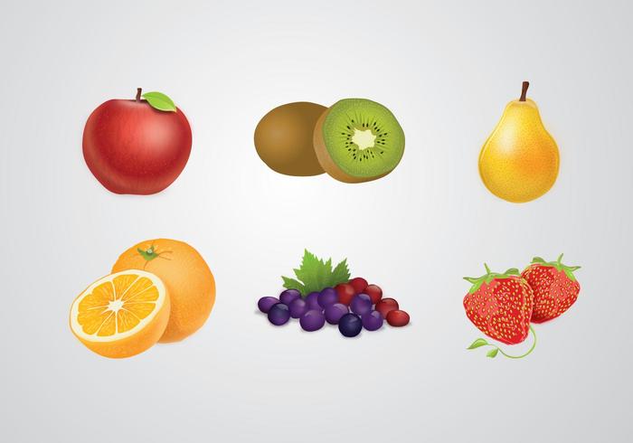 Fruits Vector Fruits Vector