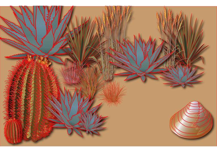 Agave Vector Agave Vector