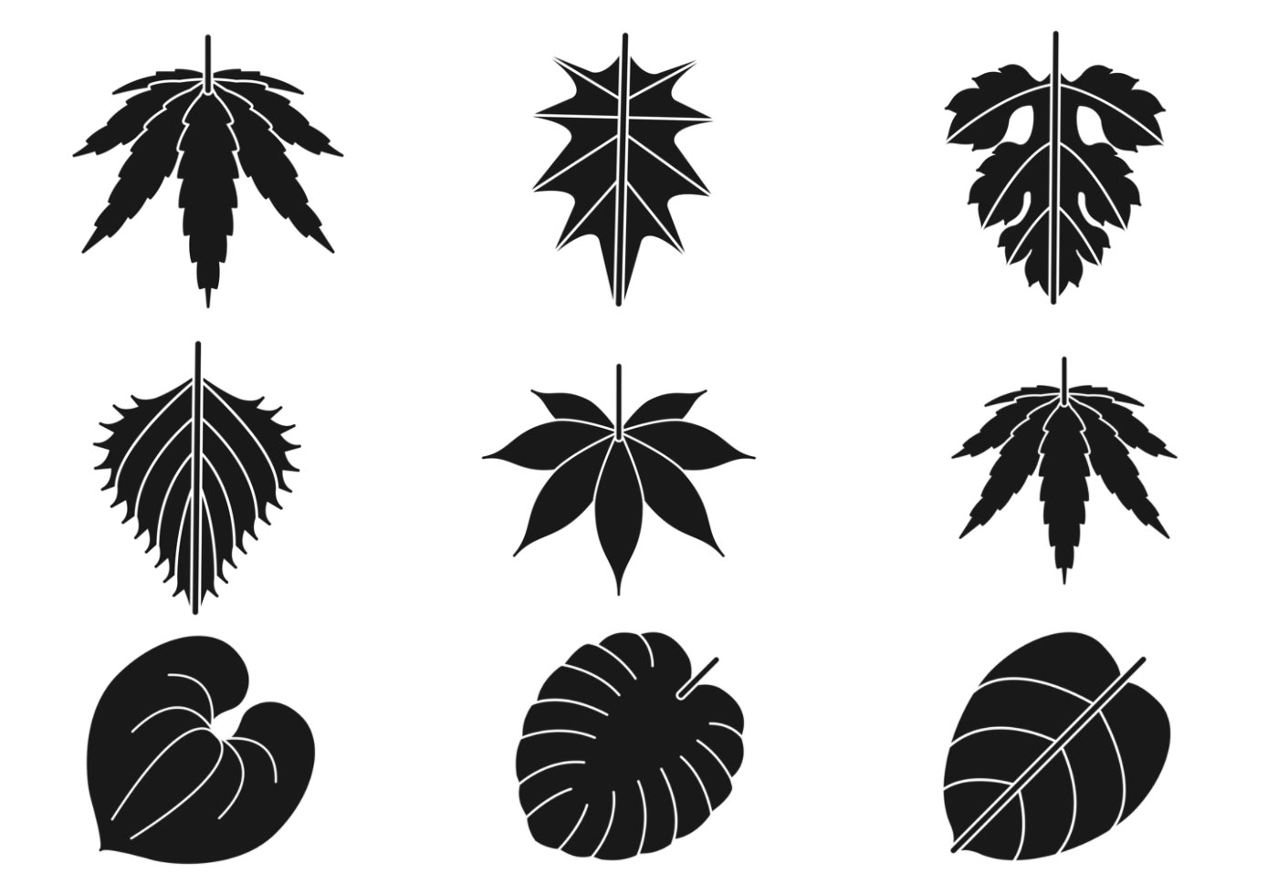 Download Leaves Silhouette Vector Pack - Download Free Vectors ...