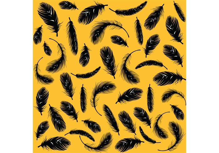 Feather Vector Pack Feather Vector Pack